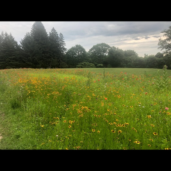 Meet your Posher, Cavan - Picture 1 of 1